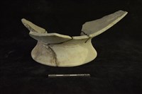 陶罐藏品圖，第2張